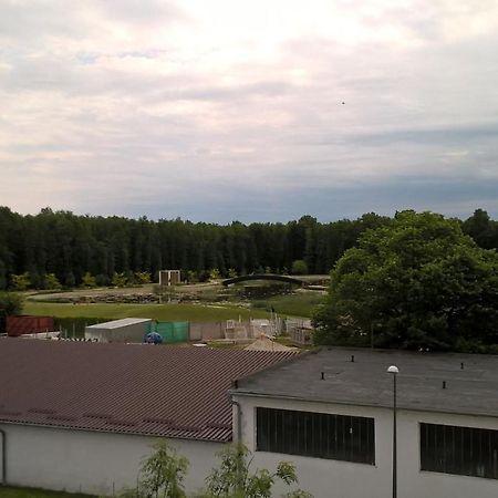 Lilla Wellnessapartman ザラカロシュ エクステリア 写真