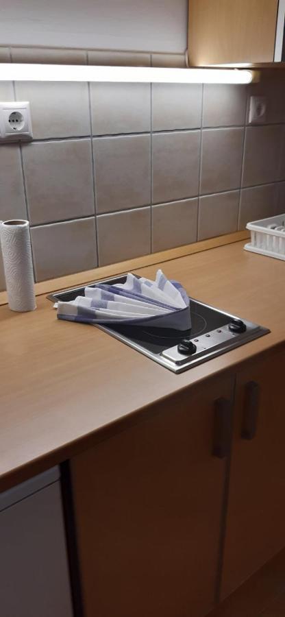 Lilla Wellnessapartman ザラカロシュ エクステリア 写真